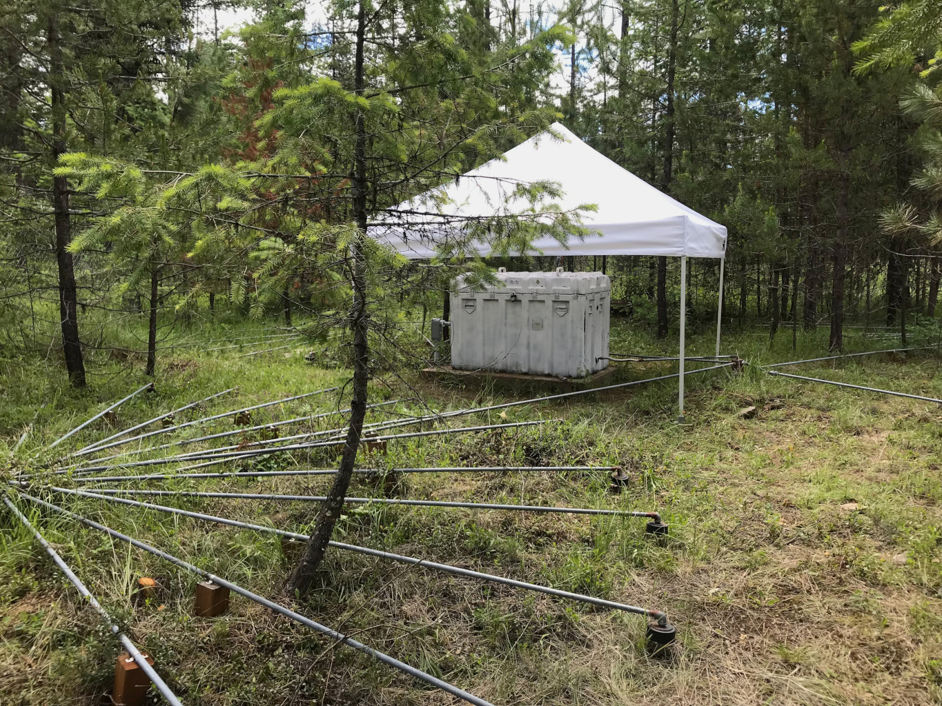 Big white box beneath white popup tent with array in front. Thin trees surrounding everything.