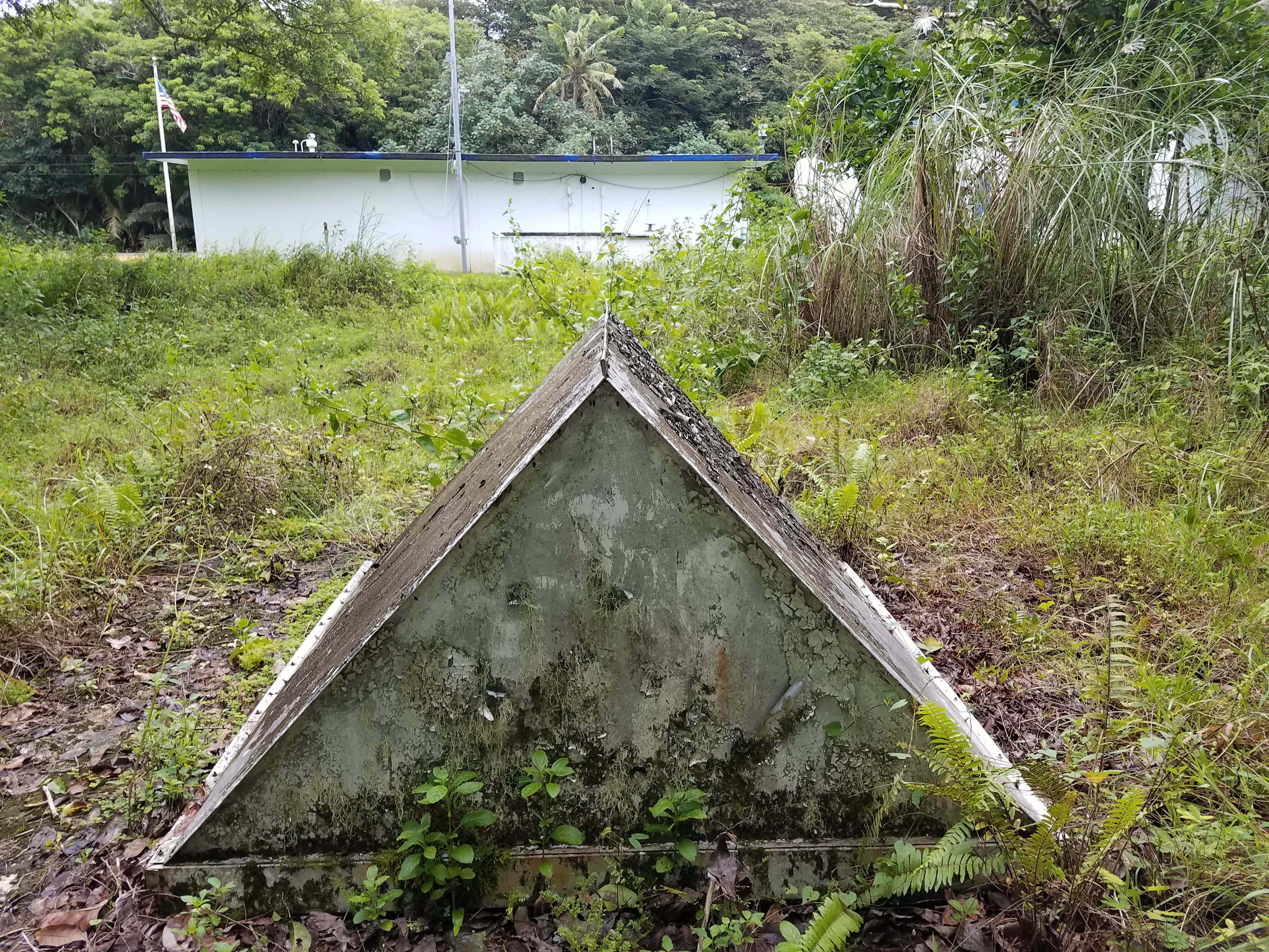 GUMO Station Image. A metal triangle among green wildlife. 
